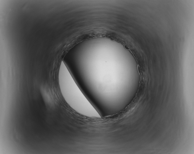 X0000099480818200805090831