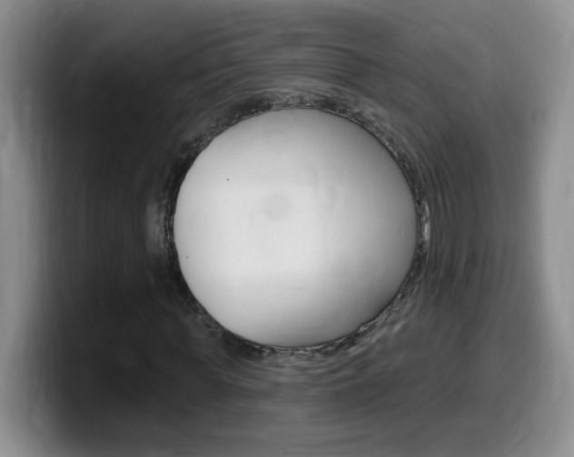 X0000099480819200805090831