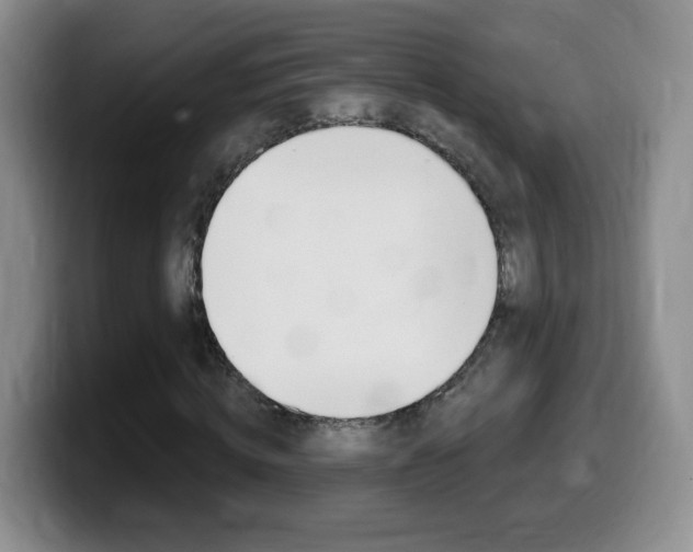 X0000099480820200805090831