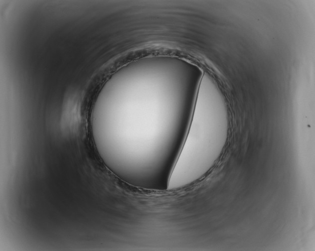 X0000099480821200805090831