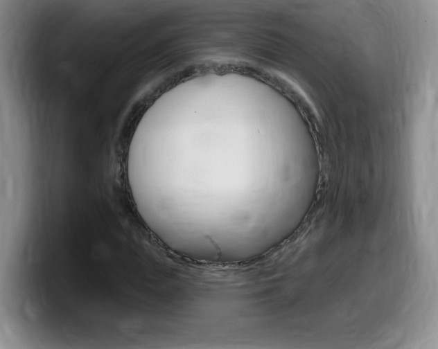 X0000099480823200805090831