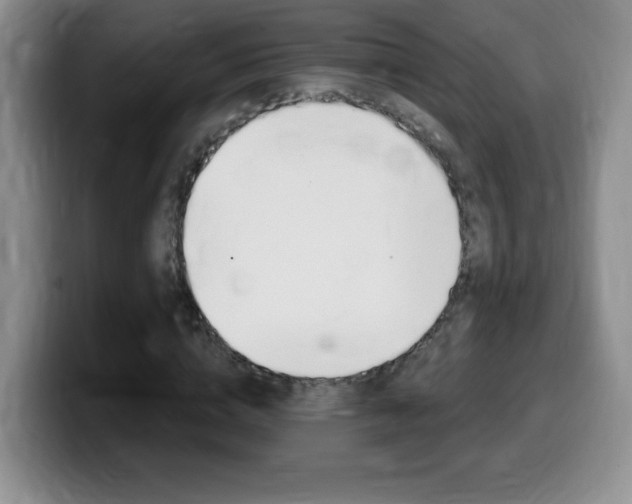 X0000099480824200805090831