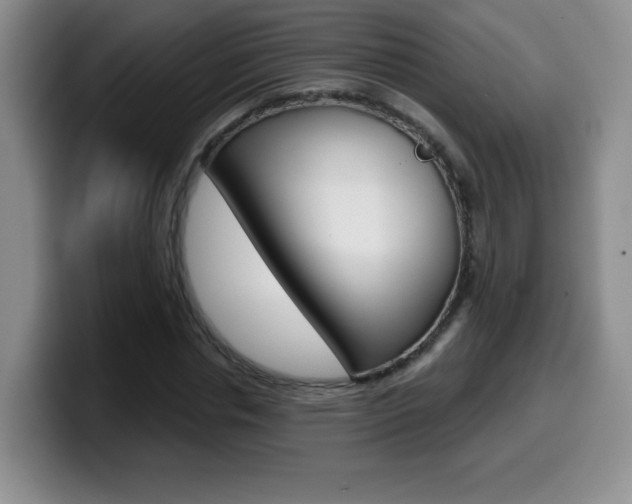 X0000099480826200805090831