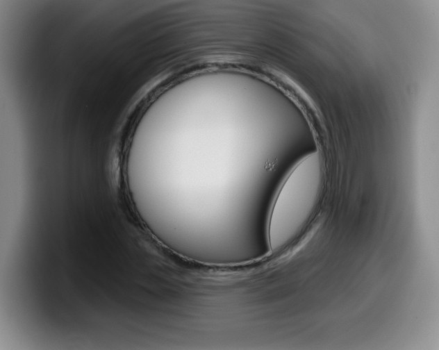 X0000099480829200805090831