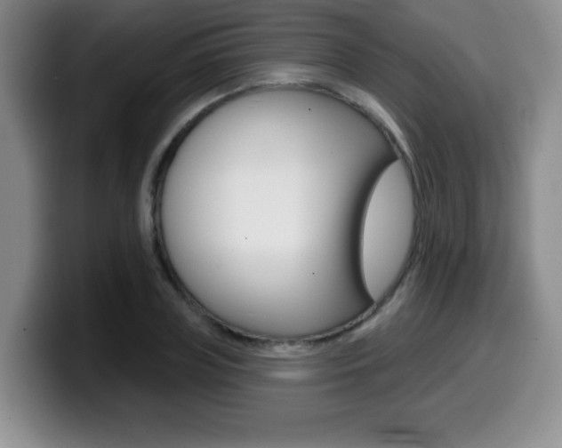X0000099480835200805090831