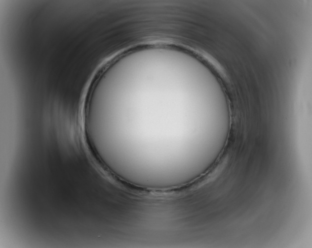 X0000099480840200805090832