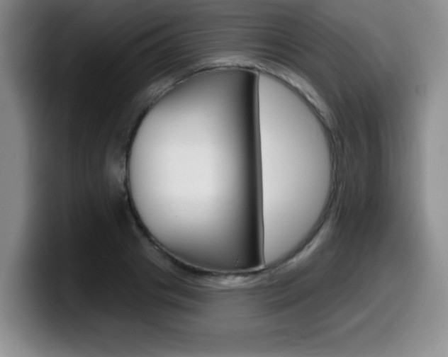 X0000099480841200805090832