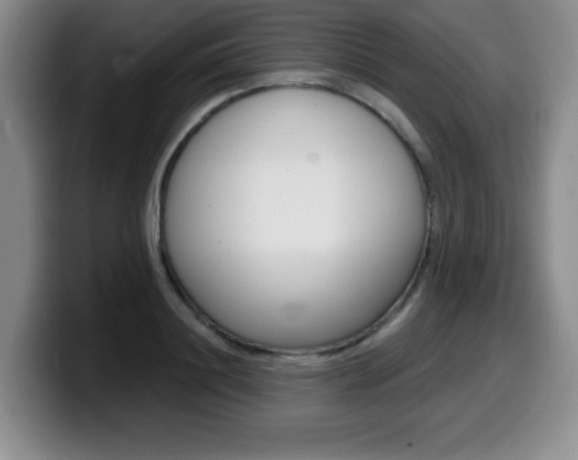 X0000099480844200805090832