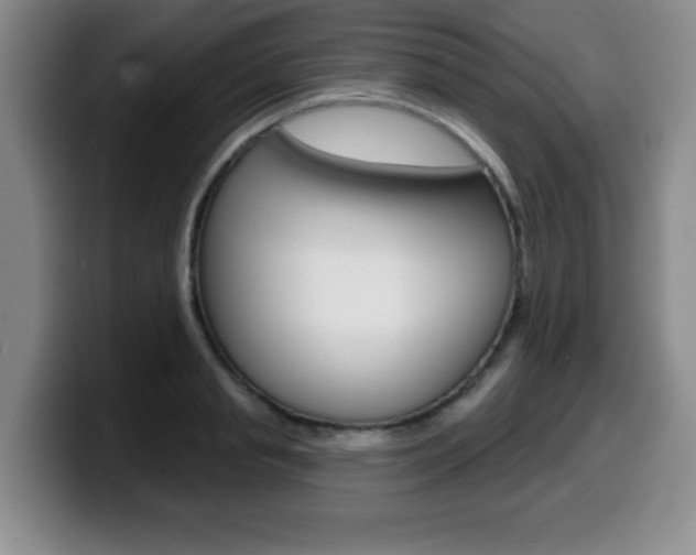 X0000099480845200805090832