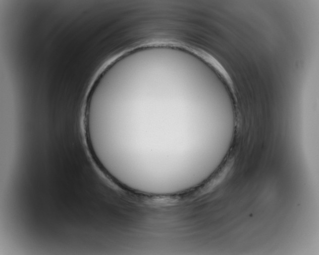 X0000099480847200805090832