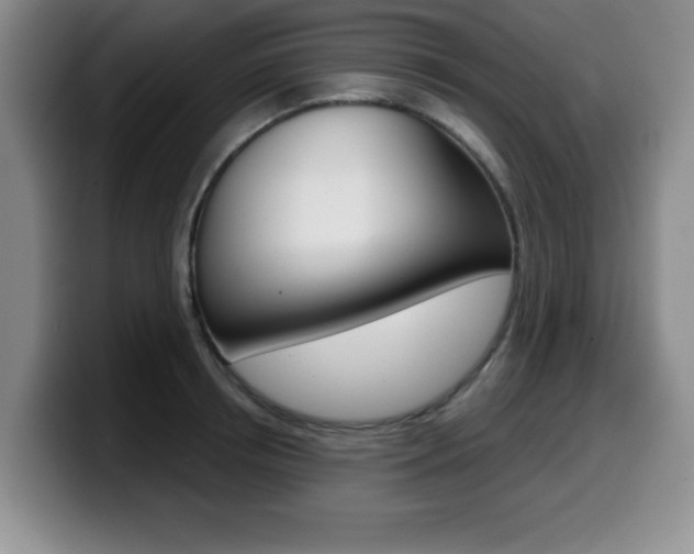 X0000099480850200805090832