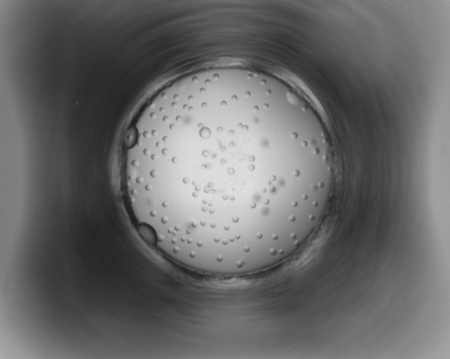 X0000099480851200805090832