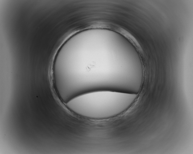 X0000099480852200805090832
