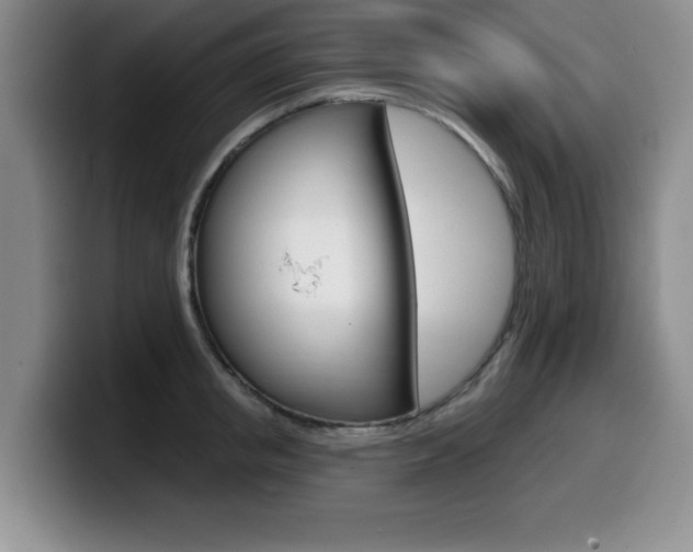 X0000099480853200805090832