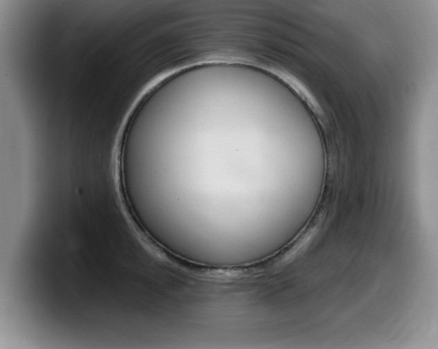 X0000099480854200805090832