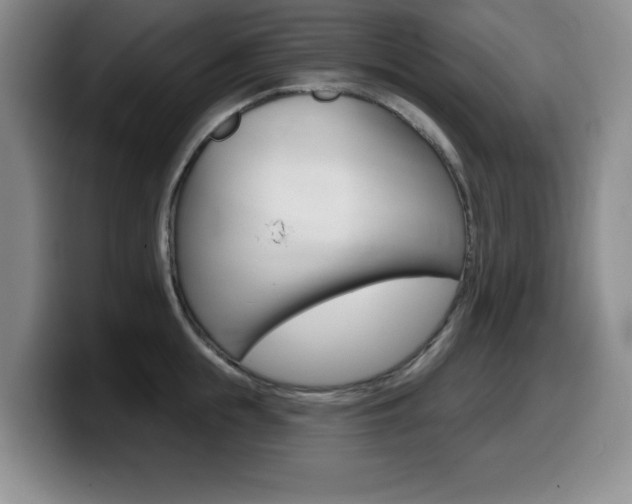 X0000099480855200805090832