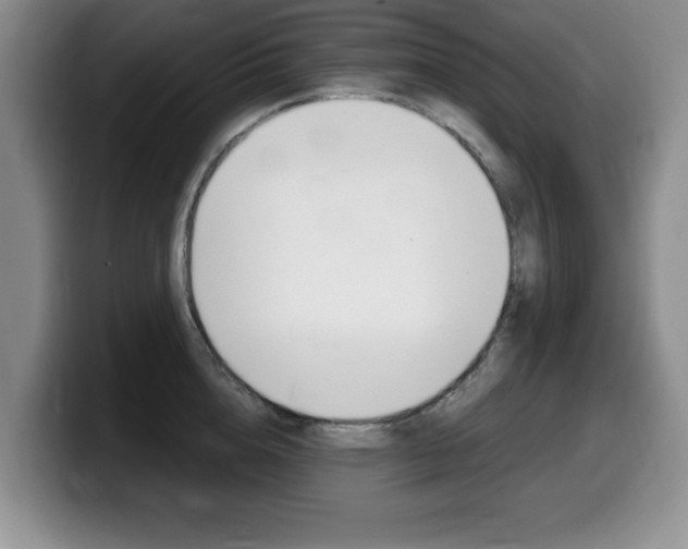 X0000099480856200805090832