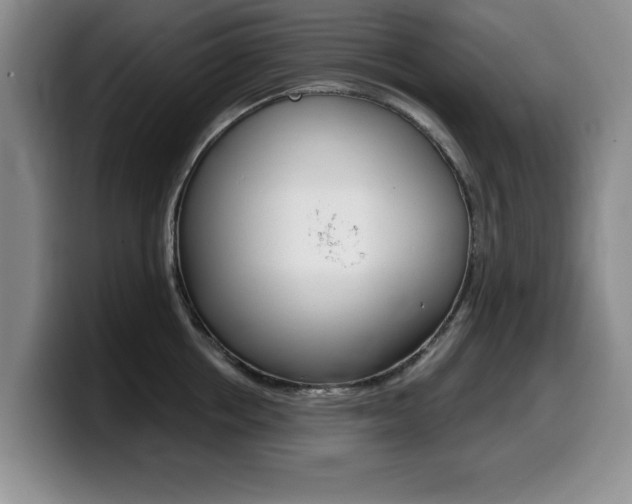 X0000099480858200805090832