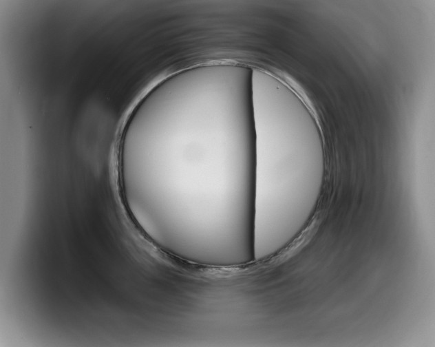 X0000099480859200805090832