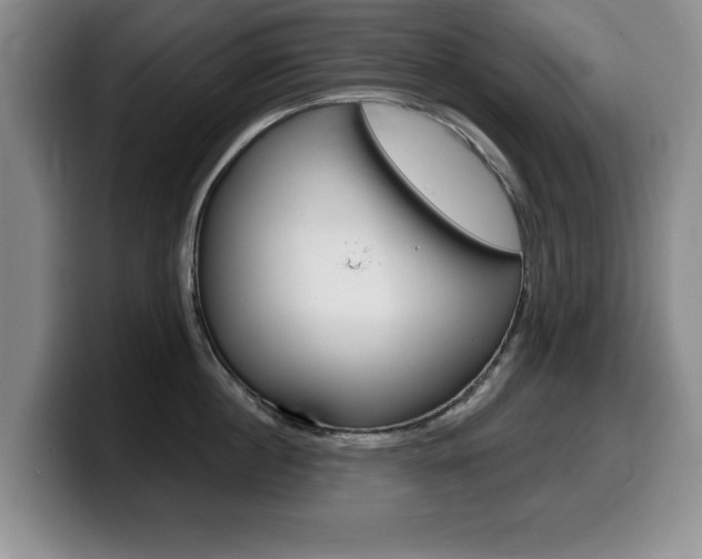 X0000099480860200805090832