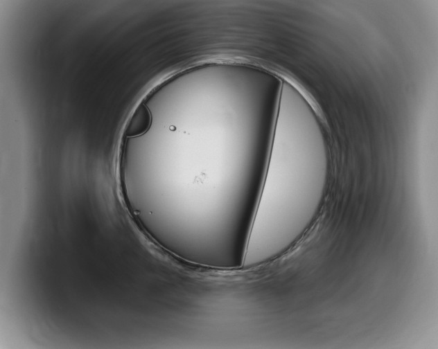 X0000099480861200805090832