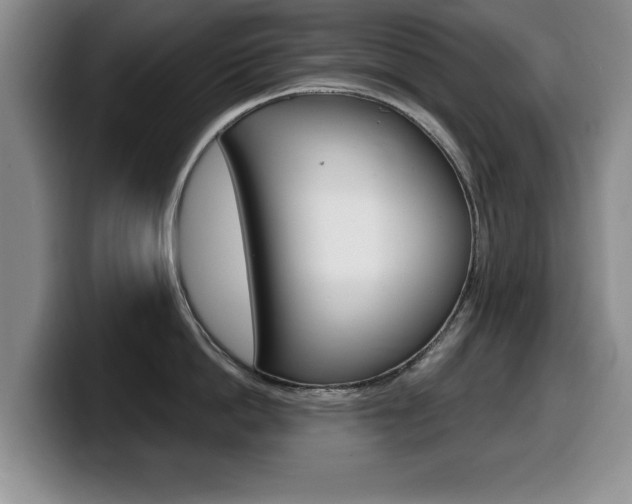 X0000099480862200805090832