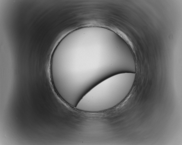 X0000099480863200805090832