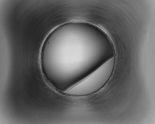 X0000099480864200805090832