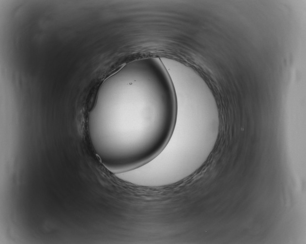 X0000099480868200805090831