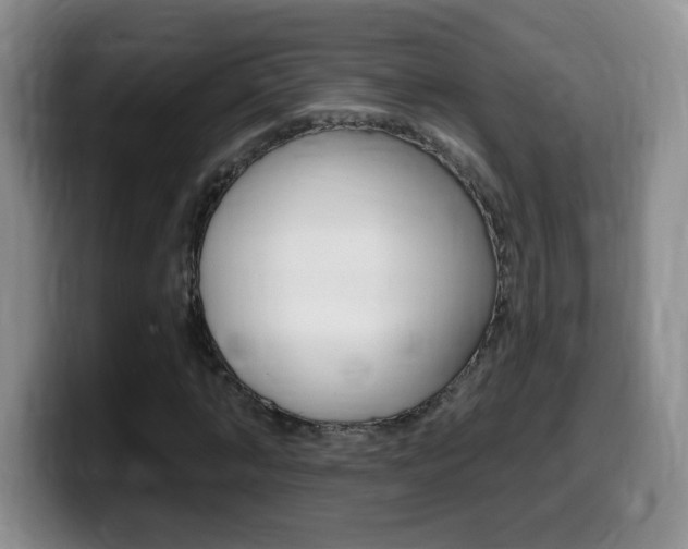 X0000099480870200805090831