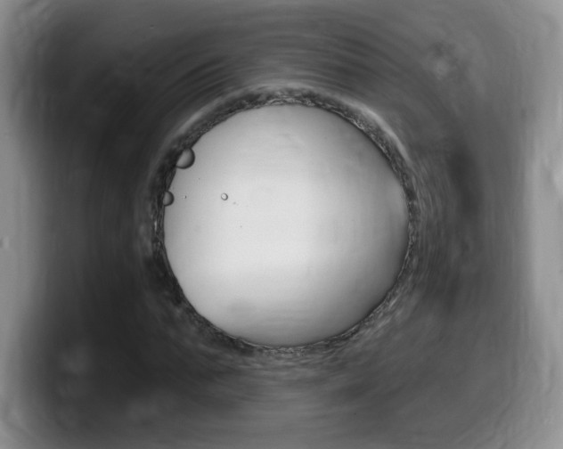 X0000099480871200805090831