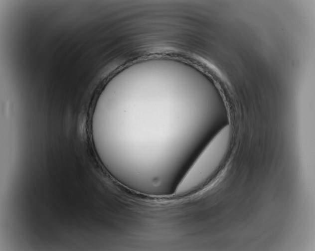 X0000099480873200805090831