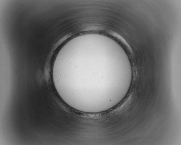 X0000099480874200805090831