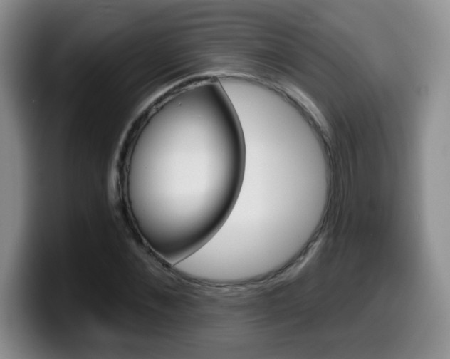 X0000099480876200805090831