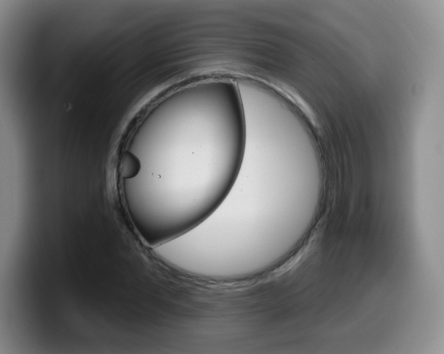 X0000099480877200805090831