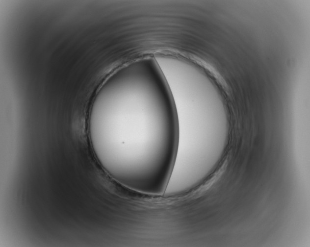 X0000099480881200805090831