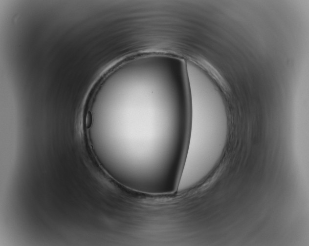 X0000099480884200805090831