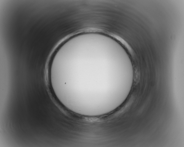 X0000099480886200805090831
