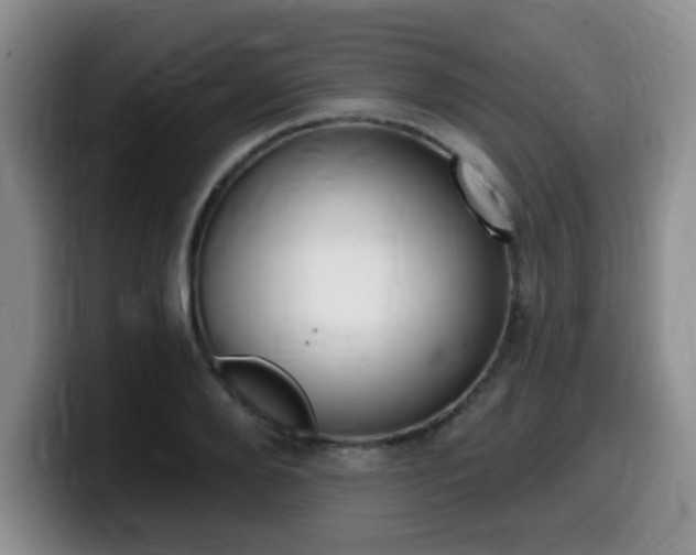 X0000099480888200805090831