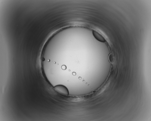 X0000099480891200805090831