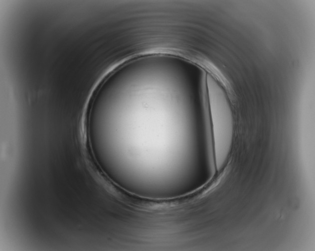 X0000099480892200805090831
