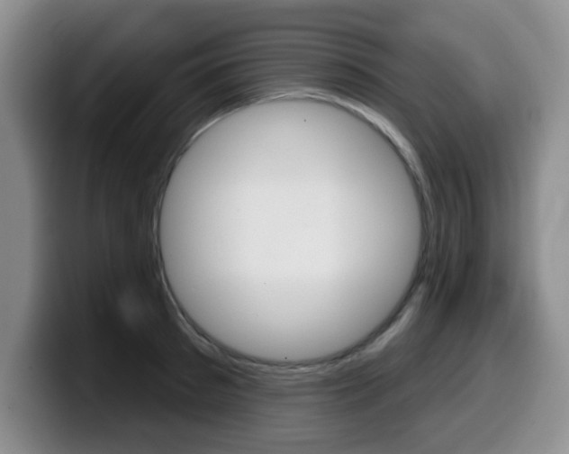X0000099480897200805090831