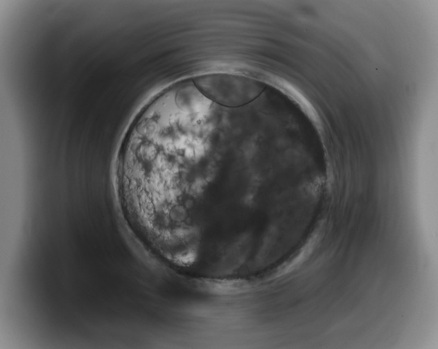 X0000099480899200805090831