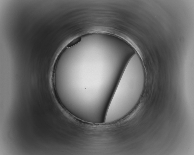 X0000099480901200805090831