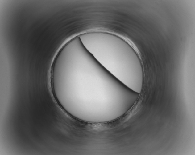 X0000099480903200805090831