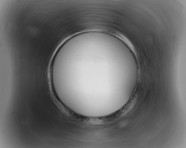X0000099480907200805090831