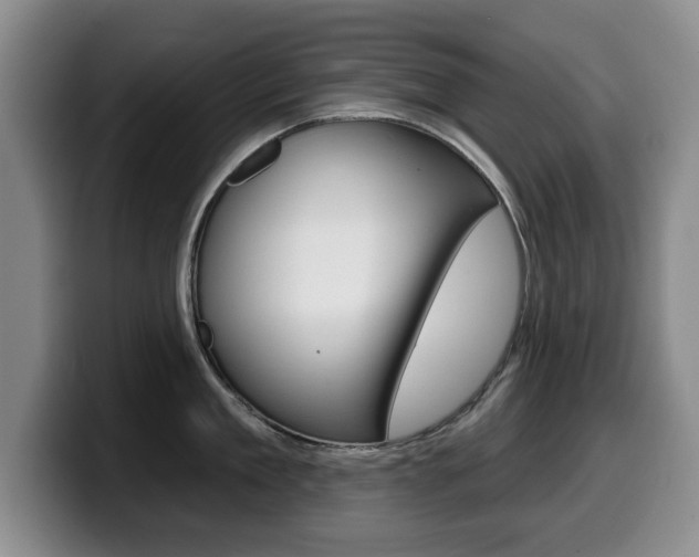 X0000099480909200805090831