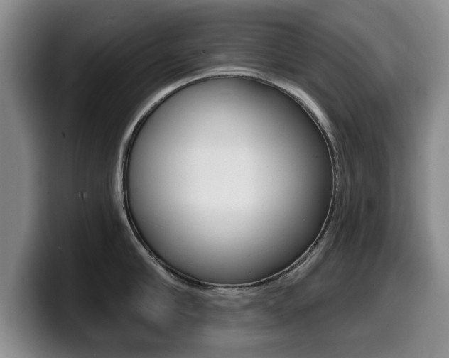 X0000099480910200805090831