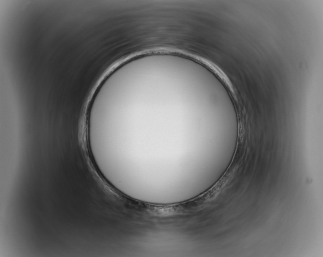 X0000099480911200805090831