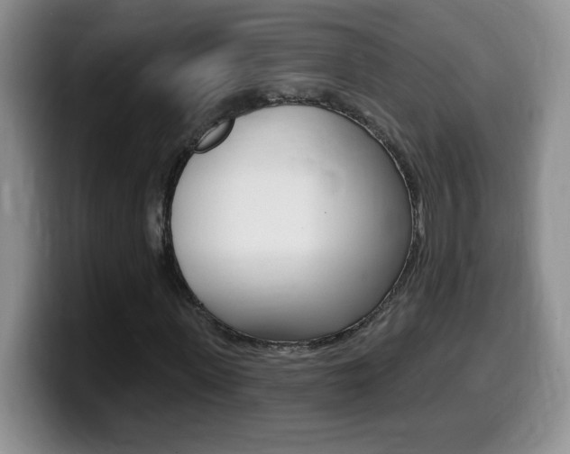 X0000099480915200805090830
